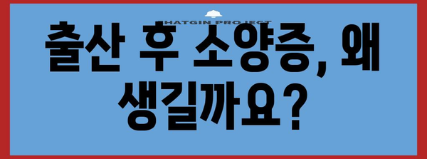 출산 후 소양증 해결 가이드 | 원인, 치료법, 팁