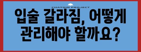 입술 갈라짐 원인과 치료법