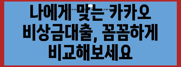 카카오 비상금대출 | 안내부터 해제까지