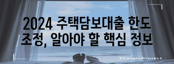 2024 주택담보대출 신규 한도 조정