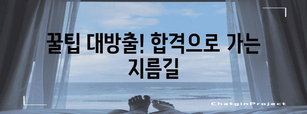 양식조리기능사 자격증 취득과 실기 대비 전략