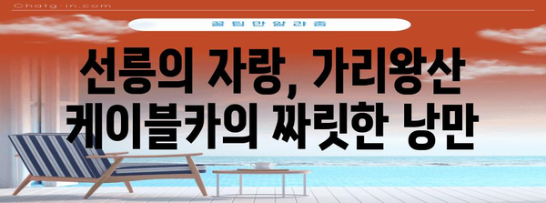 선릉의 자부심 | 가리왕산 케이블카를 타고 숨 막히는 설경을 감상하기