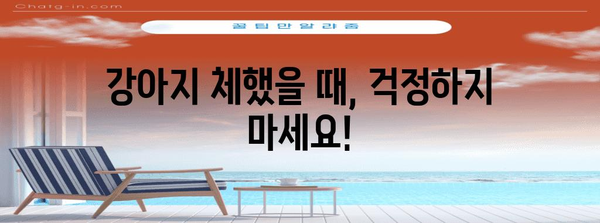 강아지 체한 뒤 | 삼전동25시 동물병원의 대처 노하우
