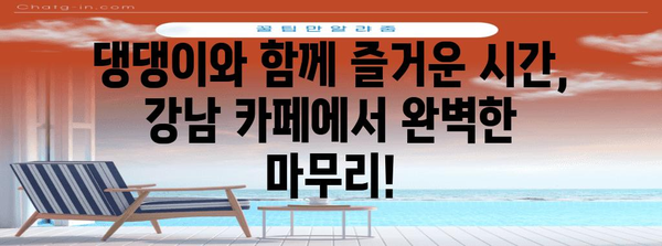 애견 달리기 후 피로 회복 맛집 | 강남 추천 카페 5곳