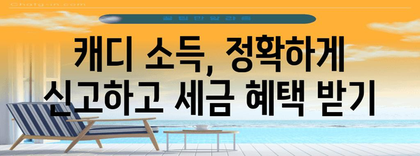 캐디를 위한 종합소득세 면탈 전략