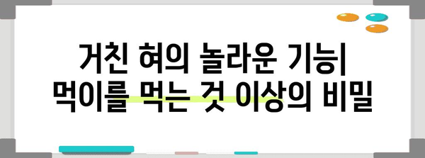 고양이 혀와 입 속의 비밀 | 특징과 기능 이해