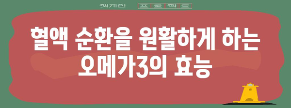 혈행 개선 필수 영양소 | 오메가3 추천 목록