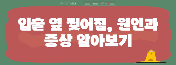 입술 옆 찢어짐 | 완전 치복 가이드