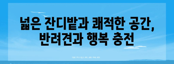 반려견과 행복한 시간! 함께 갈 수 있는 편안한 10가지 숙소