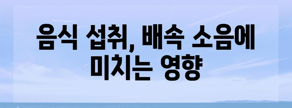 배속 소음의 원인과 간단한 해결책