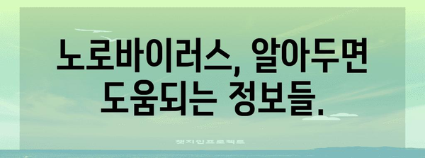 노로바이러스 | 증상, 치료법, 예방책 알아두기