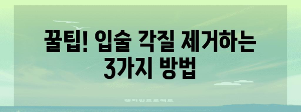 아름다운 입술 관리 법 | 따가움 해결과 각질 개선