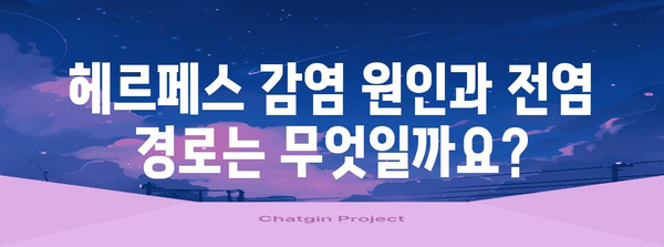 여성 헤르페스 1형과 2형 구별법 | 증상, 원인, 진단까지
