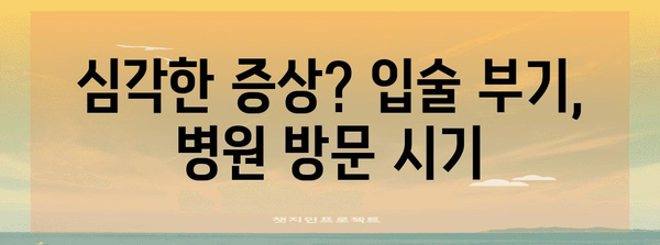입술 부기 원인 파악과 병원 진료 기준 확립