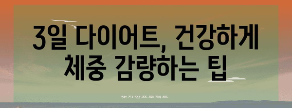 3일 다이어트로 성공적 체중감량 | 간편 식단과 효과적 팁