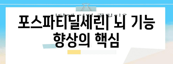 포스파티딜세린 | 두뇌 건강을 위한 필수 영양소