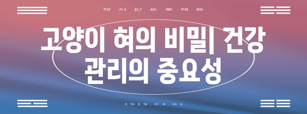 고양이 혀와 입 속의 비밀 | 특징과 기능 이해
