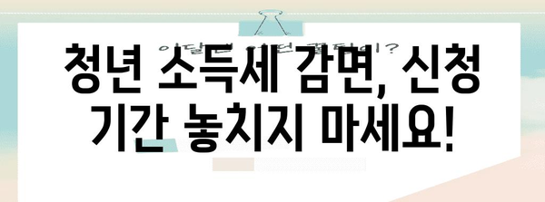 청년 소득세 감면 기한과 신청 안내 | 중소기업도 놓치지 마세요.