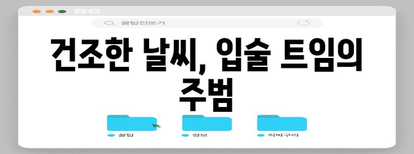 입술 트임 원인 탐구 | 건강한 입술 유지 방법