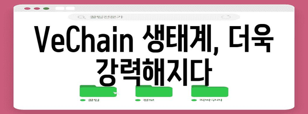 VeChain 메인넷 런칭 및 B3TR 에어드랍 안내