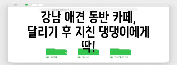 애견 달리기 후 피로 회복 맛집 | 강남 추천 카페 5곳