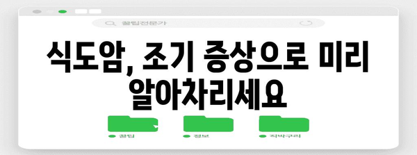 식도암 초기 증상 이해하기, 조기 발견 및 예방을 위한 지침