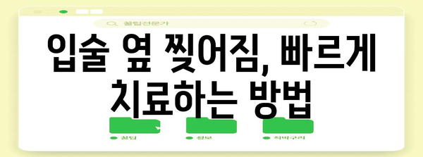 입술 옆 찢어짐 | 완전 치복 가이드