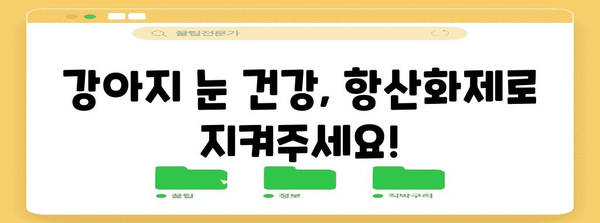 강아지 눈 건강 지키는 필수 항산화제 가이드