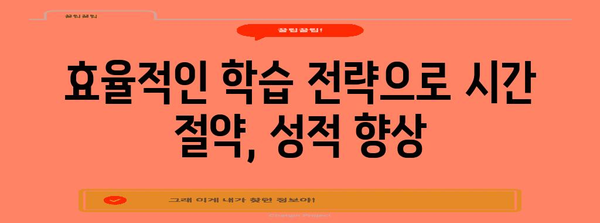 중등 영어 문법 정복 전략 | 인터넷 강의로 효율적 학습