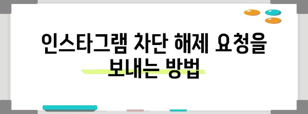 인스타그램 차단 해제하기 | 확인 방법과 복구 과정 알아보기