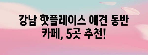 애견 달리기 후 피로 회복 맛집 | 강남 추천 카페 5곳